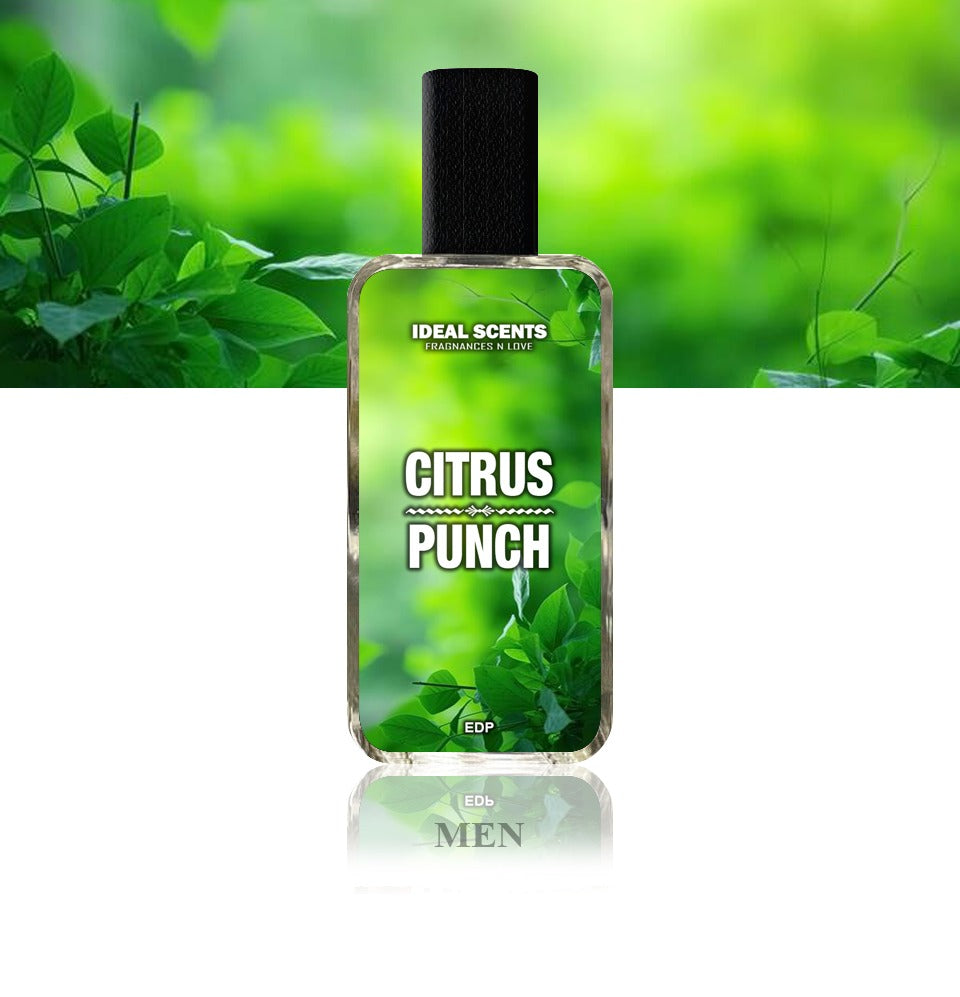 Citrus Punch Perfume 50ml – Aventus Inspired, Long-Lasting